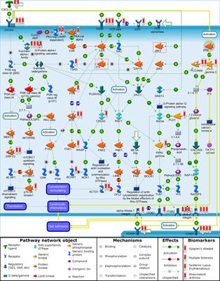 Bruton’s Tyrosine Kinase (BTK) Inhibitors and Autoimmune Diseases: Making Sense of BTK Inhibitor Specificity Profiles and Recent Clinical Trial Successes and Failures